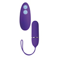 Posh 7-Function Lovers Remote