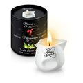 Plaisirs Secrets - Massage Candle White Tea
